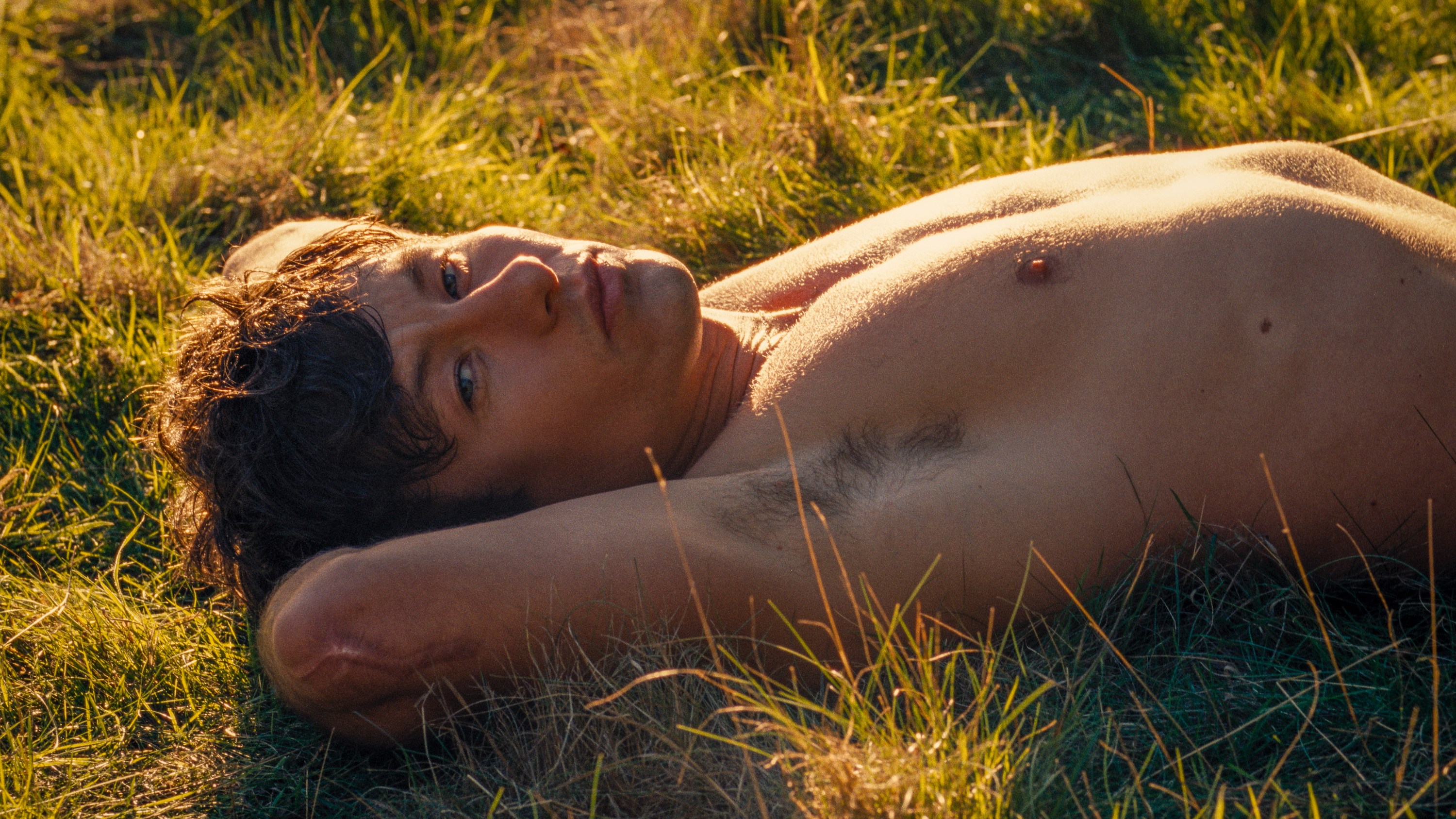 Barry Keoghan as Oliver Quick lying down naked from the waist up in a field in "Saltburn"